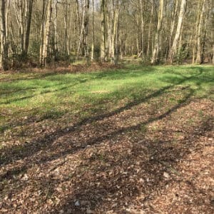 Green Site